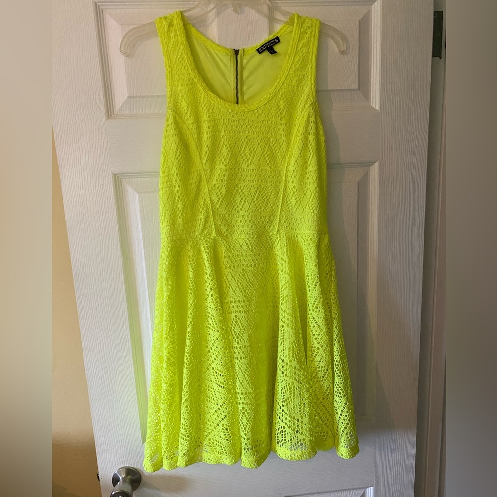 Express Skater Dress